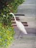 Egret and Plants